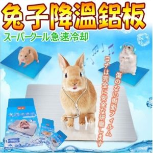 4種給兔兔降溫方法